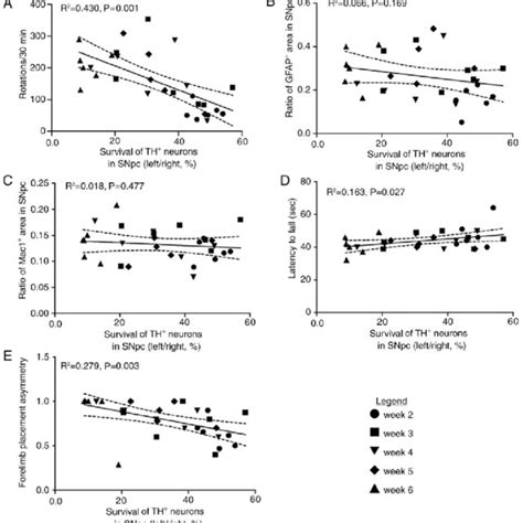 Behavioral Performance Of The 6 Ohda Rat Model Of Parkinsons Disease