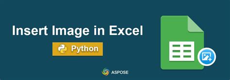 Come Inserire Un Immagine In Excel Utilizzando Python