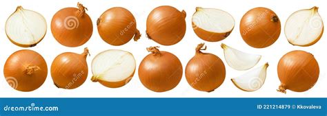 изолированный лук на белом фоне. целые луковицы и куски Стоковое ...