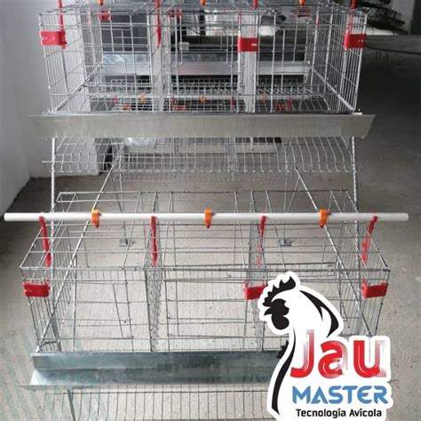 Módulo para Gallinas Ponedoras JAU MASTER Agroshow