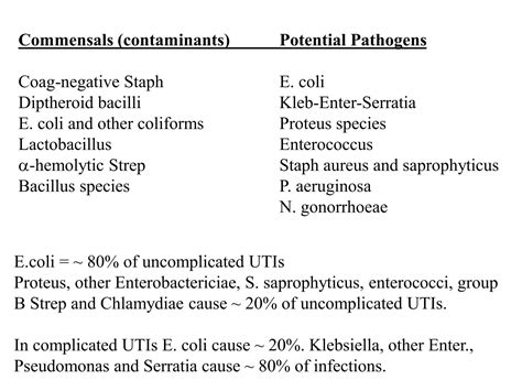 Solution Urinary Tract Infections Uti Studypool