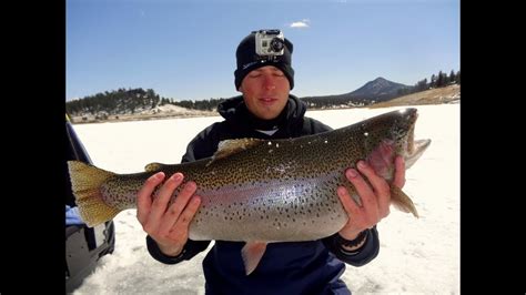 Gopro Ice Fishing Huge Trophy Colorado Trout Youtube