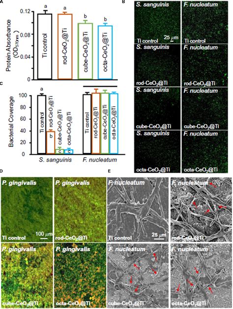 Frontiers Cerium And Its Oxidant Based Nanomaterials For