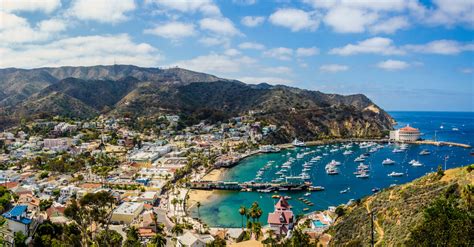 O Que Fazer Em Catalina Island Guia