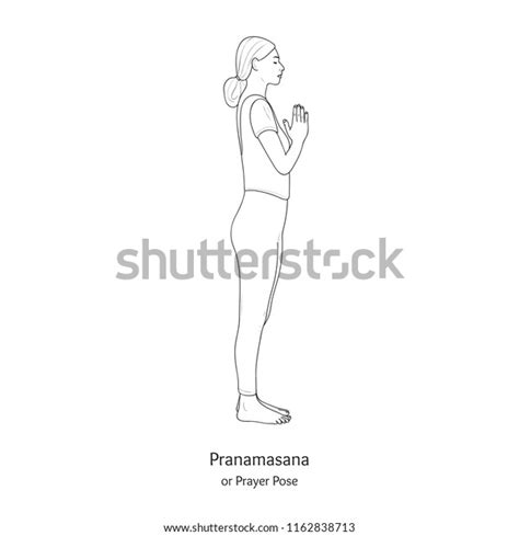 Pranamasana Prayer Pose Vector Stock Vector Royalty Free 1162838713