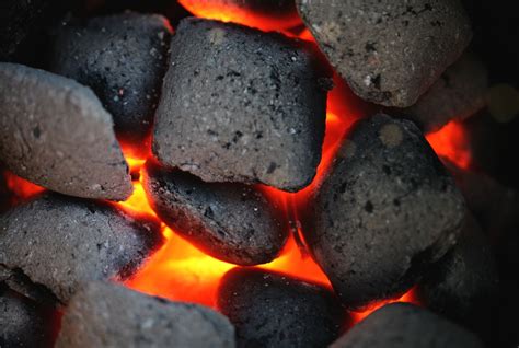 Black diamond: what is coal? | Energy Square : Energy Square
