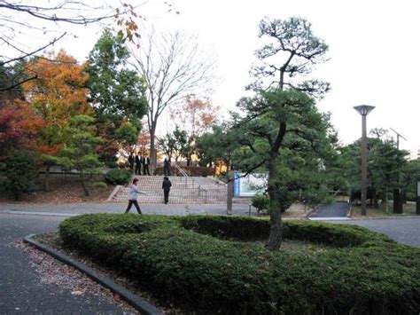 Kiba Park Tokyo