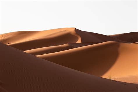 Beau Paysage De Dunes De Sable Dans Une Zone Désertique Par Une Journée