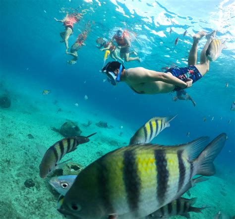 Cozumel Glass Boat Snorkel Cozumel Mexico Excursions Xpo Tours Onli