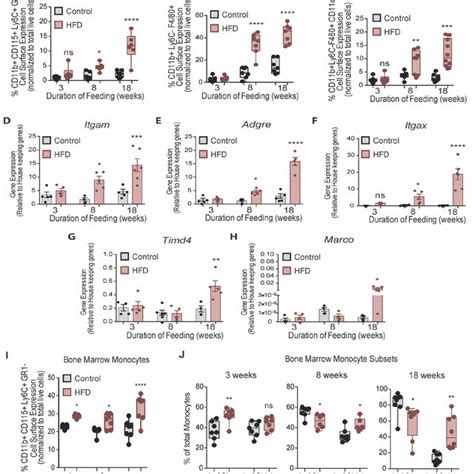 Bone Marrow Monocytes Increased Prior To Adipose Tissue Macrophages Download Scientific