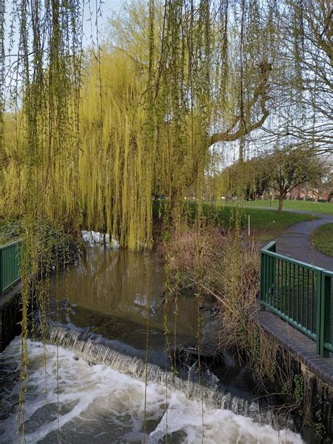 Weir And Willows On The River Sowe A J Paxton Geograph Britain