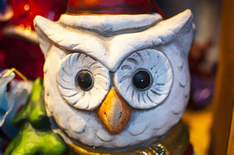 Gambar Dekorasi Warna Hari Natal Burung Hantu Ornamen Burung