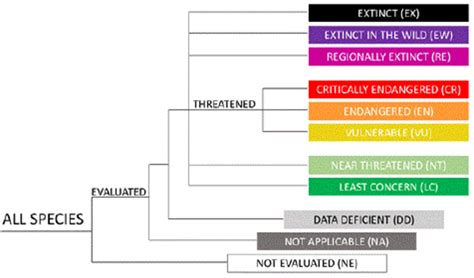 Iucn Red List Categories At The Regional Scale Source Iucn 29