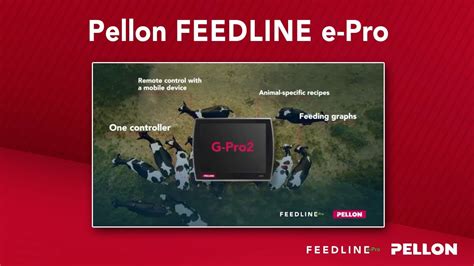 Automatic Feeding System Pellon Feedline E Pro Youtube