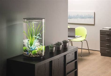 Small Aquarium Designs For Home Atelier Yuwa Ciao Jp