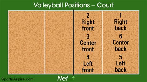 Volleyball Positions on the Court Every Player Should Know - Sports Aspire