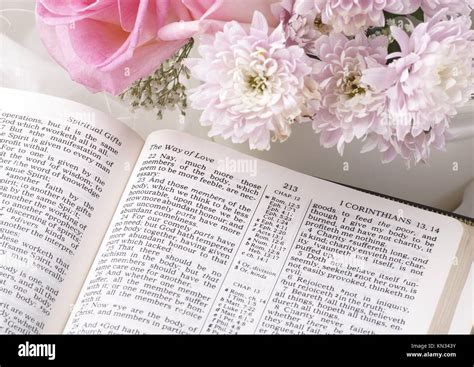 Flowers Mentioned In The Bible Discounts Retailers Bharatagritech