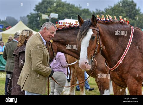 Buckham Fair Hi Res Stock Photography And Images Alamy