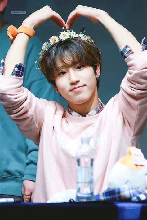 Han Jisung🌷 Wiki Stray Kids Amino