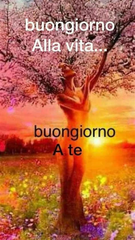 Pin Di Massimo Rulli Su Buongiorno Buongiorno Buongiorno