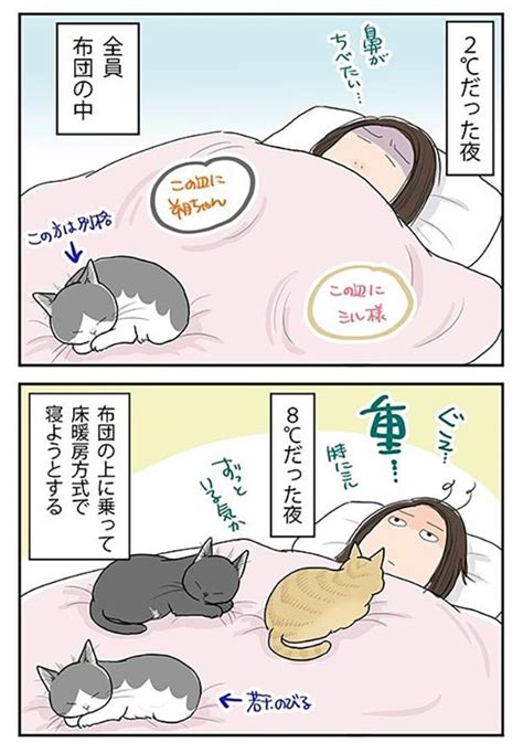 ＜画像216 644＞【ネコ漫画】個性あふれる3匹の猫とのドタバタな日常を描いたコミックエッセイを一気読み！｜ウォーカープラス