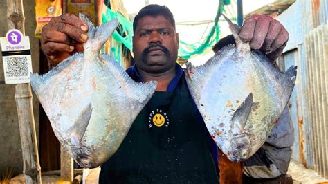 Kasimedu Speed Selvam White Pomfret Fish Cutting In Kasimedu Hd