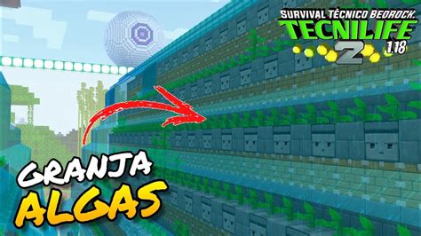 Granja De Algas Combustible INFINITO EP 47 Tecnilife 2