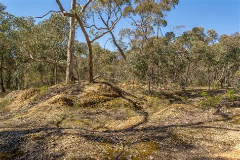 Gold Prospecting In The Victorian Goldfields Goldfields Guide