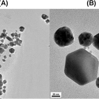 Hr Tem Images Of Day Old Aunps The Scale Bar Represents A Nm