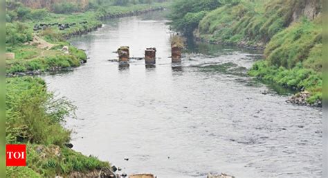 Chilla Elevated Road Gets Up Cabinet Nod Noida News Times Of India