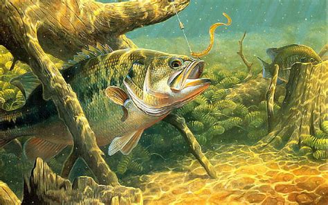 Free download | HD wallpaper: artwork, Bass, fish, fishes, fishing, lake, river, Sport ...