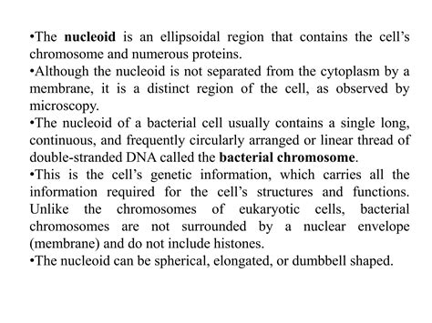 Bacterial Cytology Ribosomes Chromosomal And Extrachromosomal Material Ppt