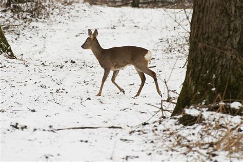 Jäger Landwirte Und Naturschützer Fördern Gemeinsam Die Artenvielfalt