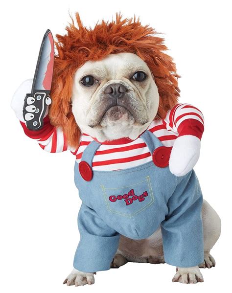60 Funny Dog Costumes for Halloween – PureWow