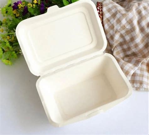 Eco Friendly Compostable And Biodegradable Sugarcane Bagasse Product At