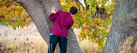 Niños Jugando Al Escondite En El Parque Escondido Detrás Del árbol Foto Premium