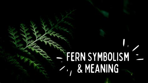 Fern Symbolism (Top 6 Meanings) - Give Me History