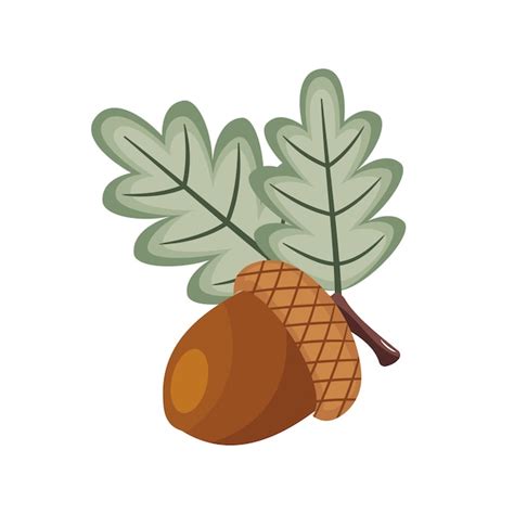 Premium Vector Acorn Illustration Vector Perfect For Fall