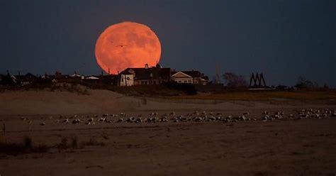 Last Nights Full Moon Album On Imgur