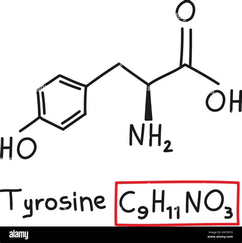 Formule Mol Culaire Chimique Tyrosine Banque De Photographies Et D