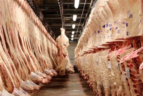 Exporta O De Carne Bovina Do Brasil Para A China Reage Em Maio Midia