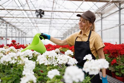 Premium Photo Pretty Blonde Woman Pouring Flower From A Watering Can In Greenhouse