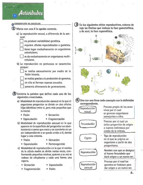 Pdf Sa Bcf Bf F Jimcontent Co Str Cc Y S Completa El