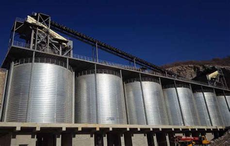 Why We Choose Steel Grain Bins To Store Rice Husk Flyer Grain Silos