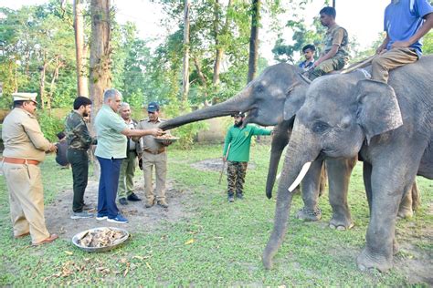 National Tiger Conservation Authority On Twitter Rt Byadavbjp Paid