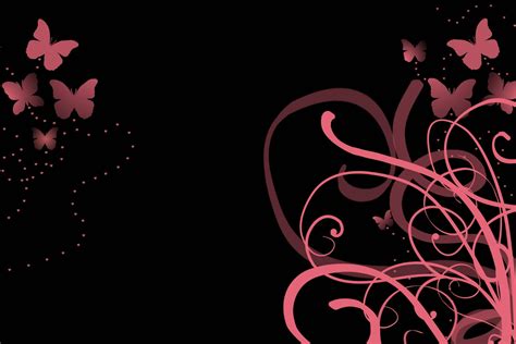 Black And Pink Butterflies Wallpapers - Wallpaper Cave