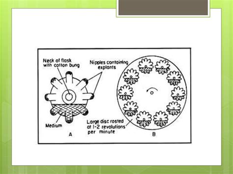 Cell suspension culture