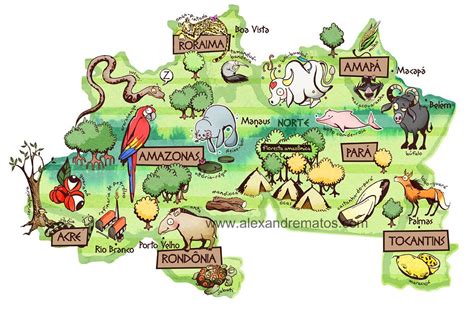 Animais Da Região Norte - 10