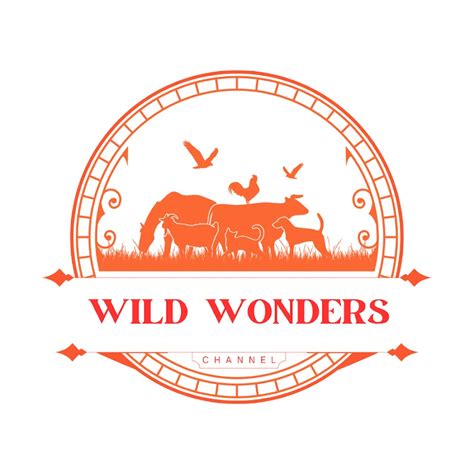 Wild Wonders Youtube