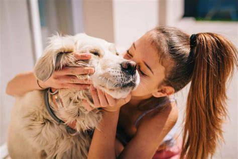 Il Tuo Cane Ti Vuole Veramente Bene Ecco Segnali Di Affetto